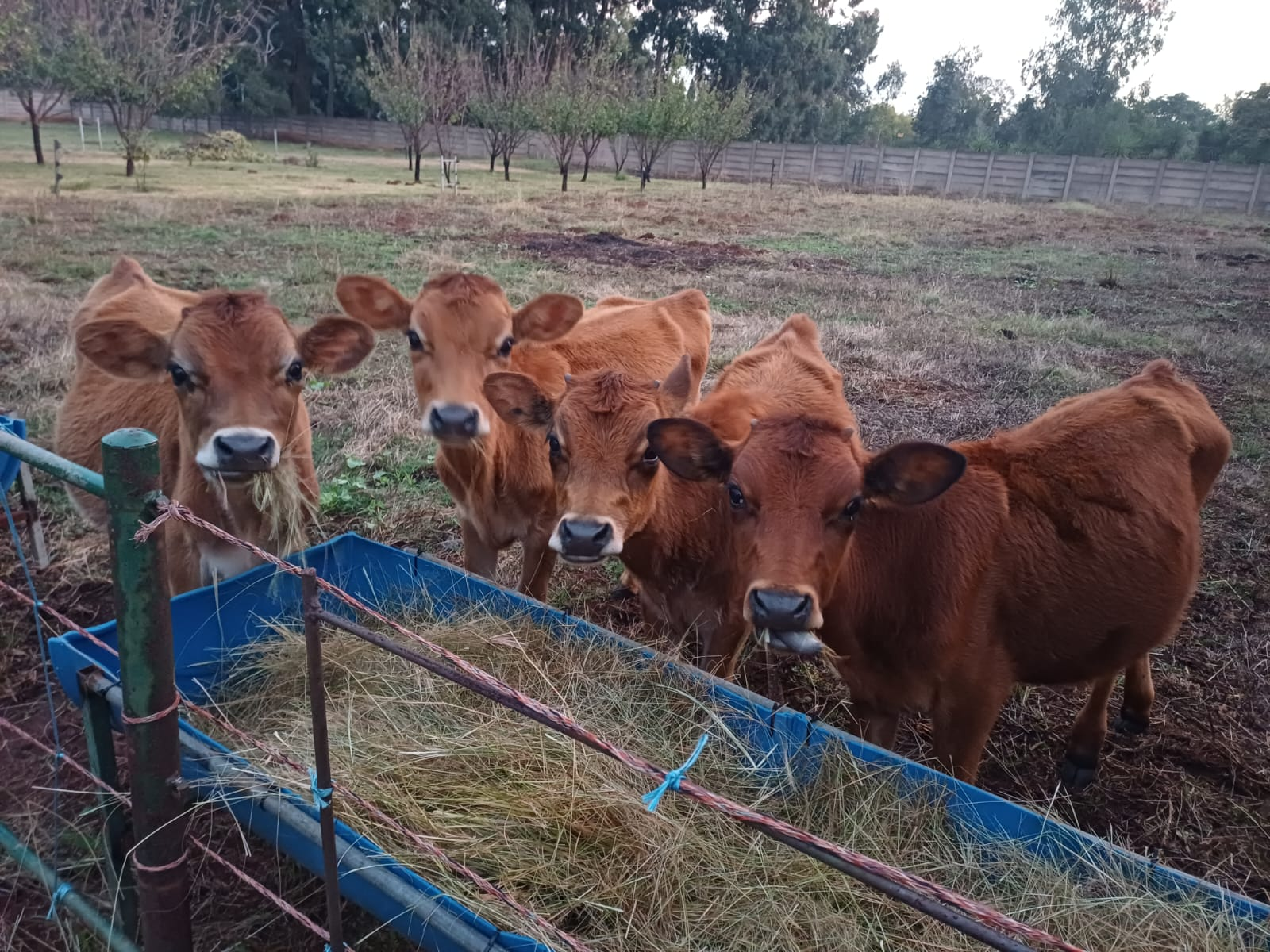 About Fairlead Farm